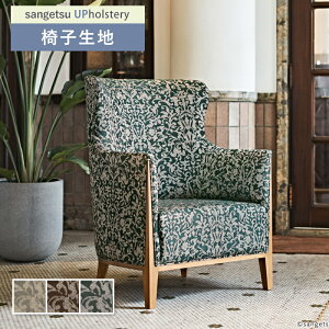 _}XN ֎qn ֎q萶n TQc ֎qnւ F-Pattern v`A[m