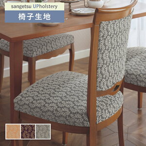 ֎qn ֎q萶n TQc ֎qnւ F-Pattern l