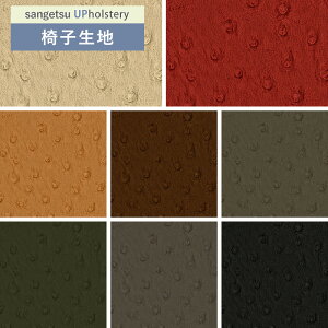 ֎qn ֎q萶n TQc ֎qnւ L-Texture I[Xgb`