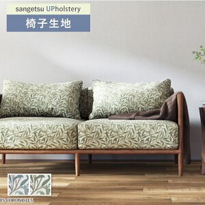 X MORRIS ֎qn ֎q萶n TQc ֎qnւ F-Pattern EB[ oE