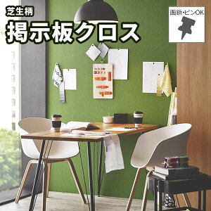 Ő fNX TtH[EO[II K657 (1m x )