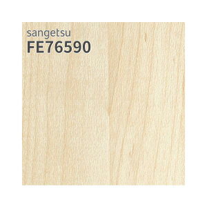 FE76590 ǎ ؖڒ Cv  sRF  C  ǎ\ւ tH[ ̂Ȃ TQc t@C