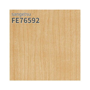 FE76592 ǎ ؖڒ `F[  }bg sRF  C  ǎ\ւ tH[ ̂Ȃ TQc t@C