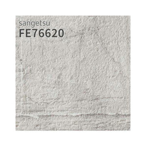 FE76620 ǎ K ubN O[n  C rO  ǎ\ւ tH[ ̂Ȃ TQc t@C