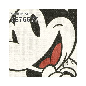 FE76677 �ǎ� Disney �f�B�Y�j�[ �~�b�L�[ �~�j�[ �R�~�b�N�p�^�[�� ���� ������� �ǎ��\��ւ� �̂�Ȃ� �T���Q�c �t�@�C��