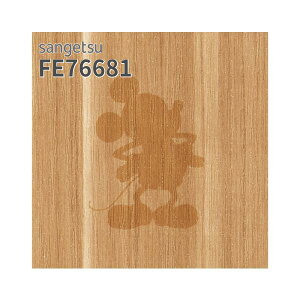 FE76681 �ǎ� Disney �f�B�Y�j�[ �ؖڒ� �~�b�L�[ �V���G�b�g �i�`������ ������� �ǎ��\��ւ� �̂�Ȃ� �T���Q�c �t�@�C��