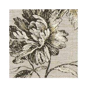 FE76794 ǎ GKg NVbN A ԕ   ǎ\ւ tH[ ̂Ȃ TQc t@C