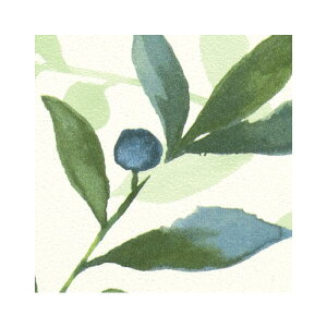 FE76810 ǎ i` {^jJ [t ₩ ܂  ǎ\ւ ̂Ȃ TQc t@C