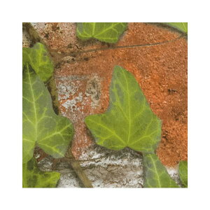 FE76811 ǎ i` {^jJ A K m  ǎ\ւ ̂Ȃ TQc t@C