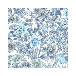 FE76815 ǎ i` {^jJ ԕ  N[[bg jb`  ̂Ȃ TQc t@C