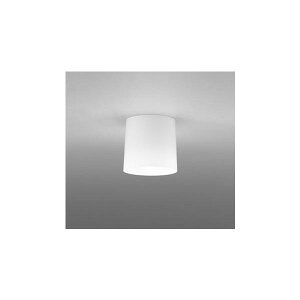 OL013006NR �I�[�f���b�N LED���^�V�[�����O���C�g�@�����F 4.4W ��������