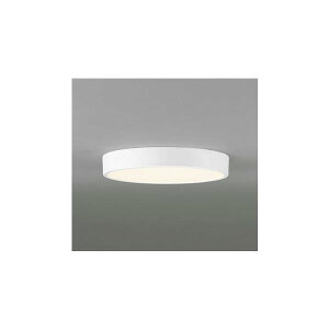 OL251727R �I�[�f���b�N ���^�V�[�����O �񒲌�30W���� �d���F 17W ��������