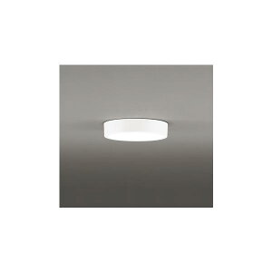 �I�[�f���b�N ���^�V�[�����O���C�g �񒲌�100W���� �����F OL251750R ��������