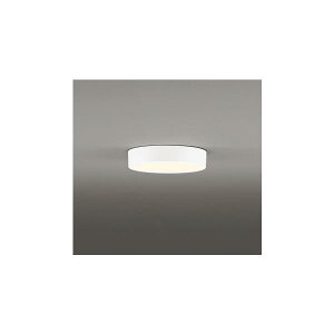 �I�[�f���b�N ���^�V�[�����O���C�g �񒲌�100W���� �d���F OL251751R ��������