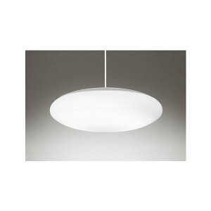 OP252429R �I�[�f���b�N �y���_���g���C�g 8�� �������F 31W ��������