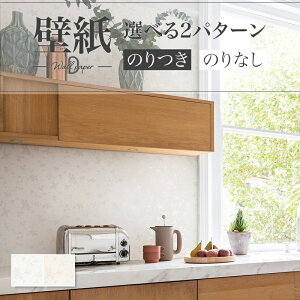 ǎ ԕ [t A zCgn x[Wn NVbN GKg  diy  tH[ \ rO J V-wall NX ̂Ȃ