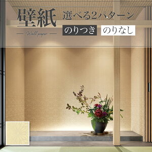 LV2427 ǎ a a x[Wn a  diy  tH[ \ rO J V-wall NX ̂Ȃ