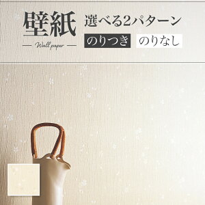 LV2430 ǎ ԕ a a a  diy  tH[ \ rO J V-wall NX ̂Ȃ