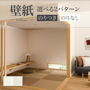 ǎ Ζڒ a a a  diy  tH[ \ rO J V-wall NX ̂Ȃ
