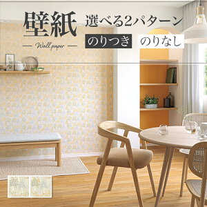 ǎ A  X i`  diy  tH[ \ rO J V-wall NX ̂Ȃ