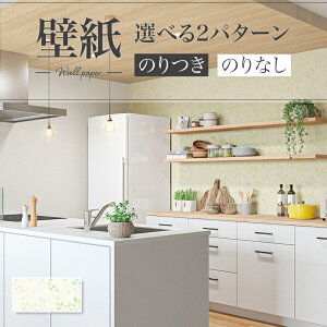 ǎ [t A i`  ʏ  diy  tH[ \ rO J V-wall NX ̂Ȃ