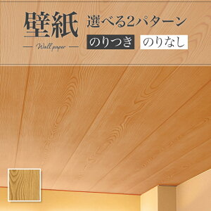 LV2456 ǎ ؖڒ a a a V  diy  tH[ \ rO J V-wall NX ̂Ȃ
