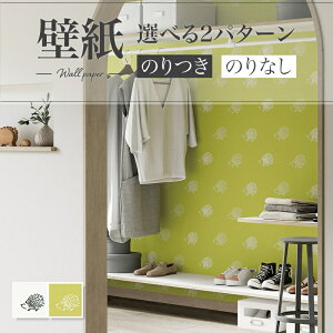 ǎ nlY~  zCgn CG[n  diy  tH[ \ rO J V-wall NX ̂Ȃ