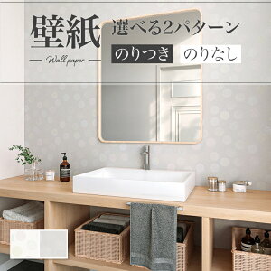 ǎ hbg zCgn O[n k  ʏ  diy  tH[ \ rO J V-wall NX ̂Ȃ