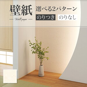 LV2431 ǎ ԕ a a a tF~j  diy  tH[ \ rO J V-wall NX ̂Ȃ