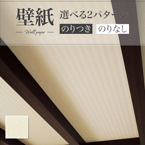 LV2452 ǎ D a a a V zCgn  diy  tH[ \ rO J V-wall NX ̂Ȃ