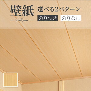 LV2455 ǎ ؖڒ a a a V  diy  tH[ \ rO J V-wall NX ̂Ȃ