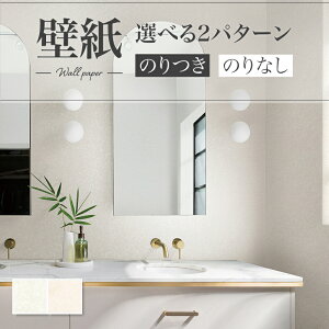 ǎ Ζڒ h蒲  L  diy  tH[ \ rO J V-wall NX ̂Ȃ