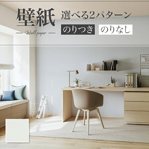 LB9541 ǎ Ζڒ \ʋ ȒP  diy  tH[ \ rO J x[X ʎYNX ̂Ȃ