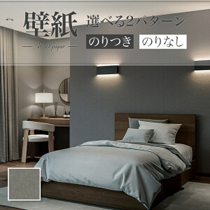 LB9569 ǎ D \ʋ ȒP  diy  tH[ \ rO J x[X ʎYNX ̂Ȃ