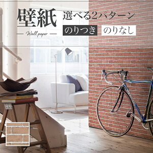 LB9593 ǎ  K  diy  tH[ \ rO J x[X ʎYNX ̂Ȃ