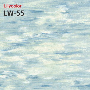 LW-55 �̂�Ȃ��ǎ� WILL �����J�� ���� ��C