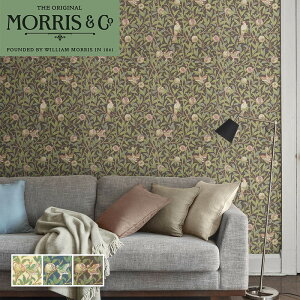 �����X �ǎ� �o�[�h �� �|���O���i�b�g �C���|�[�g Morris �� Co �A���ǎ� �����J�� ��52cm×10m�� �{����