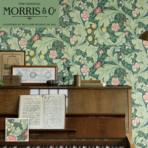 LIS-42007 �����X �ǎ� ���X�^�[ �C���|�[�g Morris �� Co �A���ǎ� �����J�� ��52cm×10m�� �{����