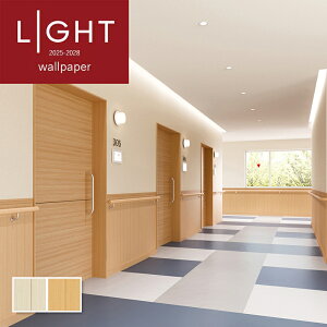 ǎ X[p[ h~  diy  tH[ \ rO J LIGHT NX ̂Ȃ