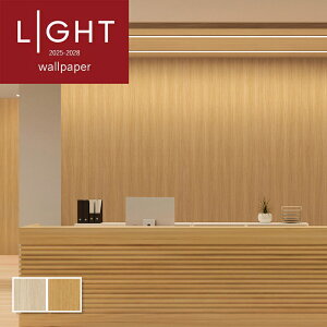 ǎ {[^Cv sRF  diy  tH[ \ rO J LIGHT NX ̂Ȃ