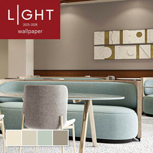 ǎ LYɋ  diy  tH[ \ rO J LIGHT NX ̂Ȃ