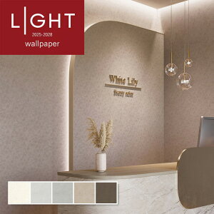 ǎ L h~  diy  tH[ \ rO J LIGHT NX ̂Ȃ