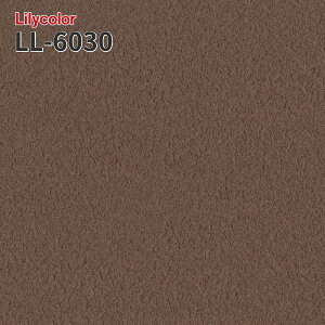 LL-6030 ���[�h �̂�Ȃ��ǎ� LIGHT �����J�� ���� ��C