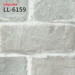 LL-6159 ���� �����K �̂�Ȃ��ǎ� LIGHT �����J�� ���� ��C
