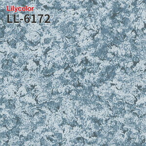 LL-6172 ̂Ȃǎ LIGHT J  C