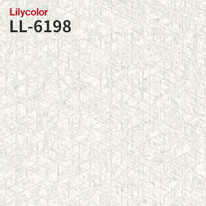 LL-6198 �̂�Ȃ��ǎ� LIGHT �����J�� ���� ��C