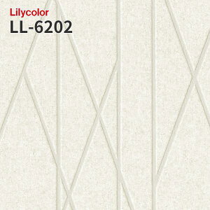 LL-6202 �̂�Ȃ��ǎ� LIGHT �����J�� ���� ��C