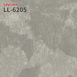 LL-6205 �̂�Ȃ��ǎ� LIGHT �����J�� ���� ��C