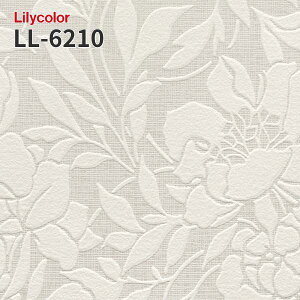 LL-6210 �̂�Ȃ��ǎ� LIGHT �����J�� ���� ��C
