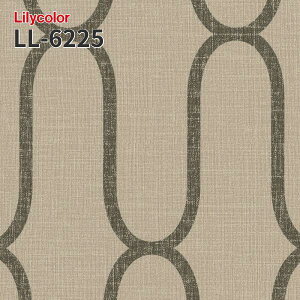 LL-6225 kioi ̂Ȃǎ LIGHT J  C